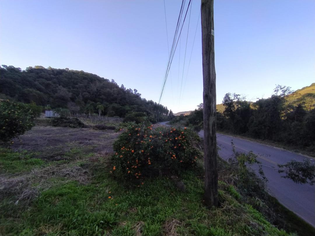 Banner Página