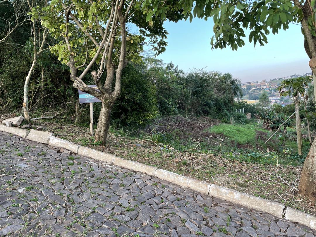 Banner Página
