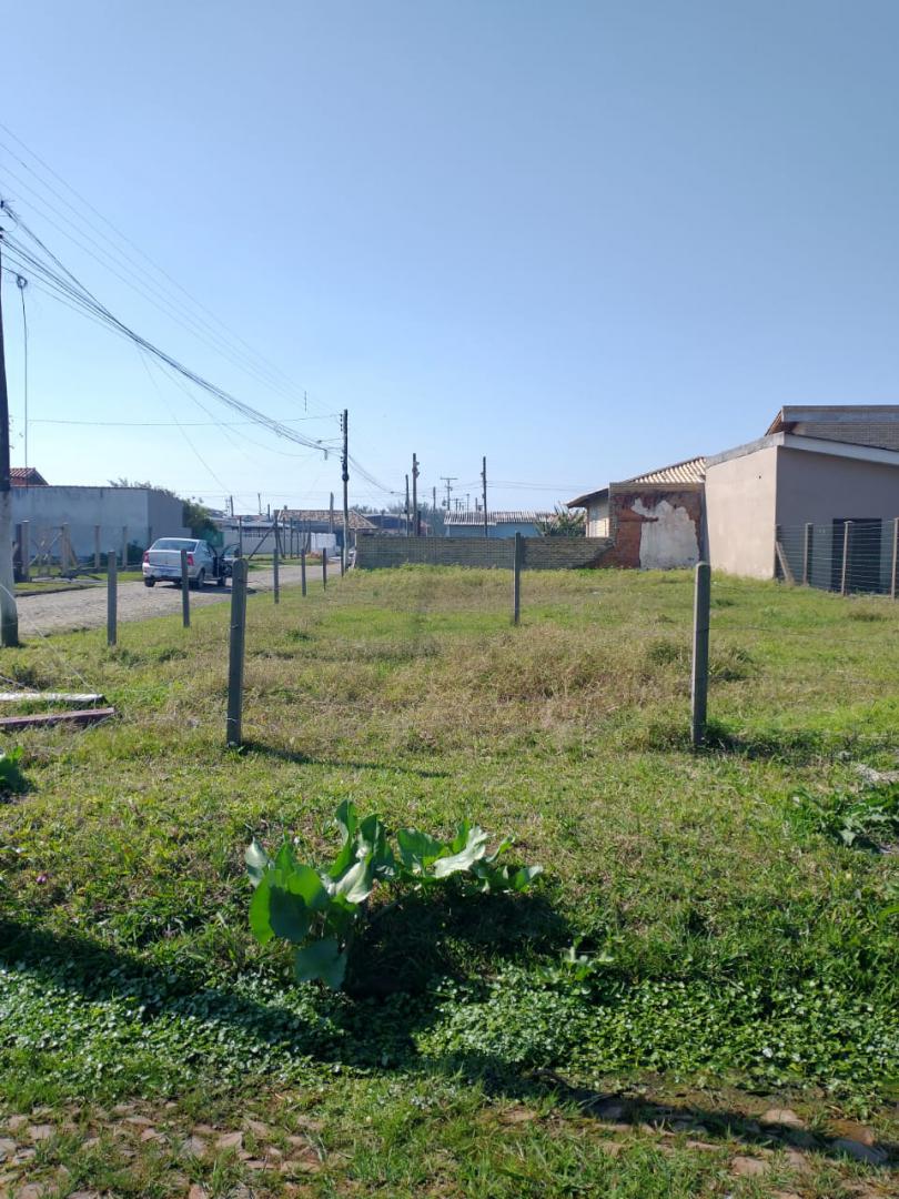 Banner Página