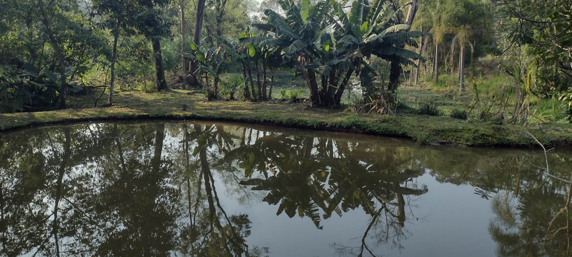 Banner Página